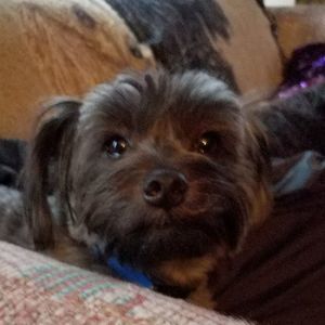 Meet your Posher, Pamela